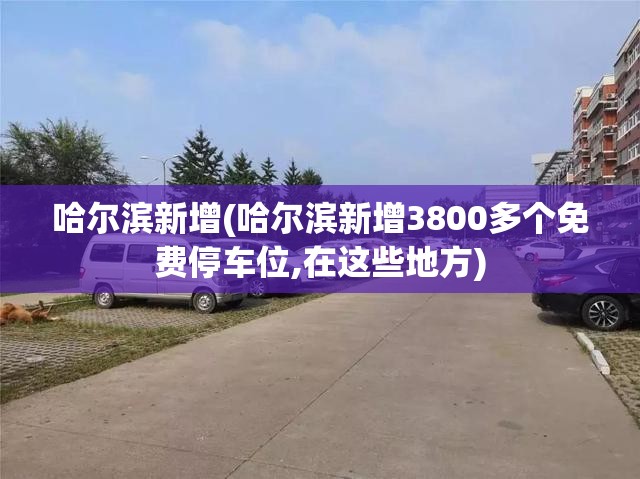 哈尔滨新增(哈尔滨新增3800多个免费停车位,在这些地方) 哈尔滨新增(哈尔滨新增3800多个免费停车位,在这些地方)