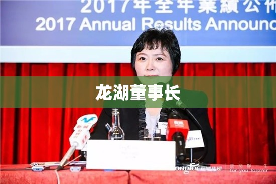 龙湖董事长