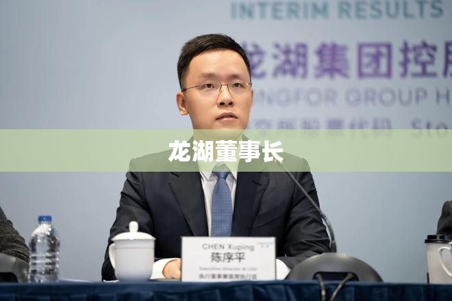 龙湖董事长