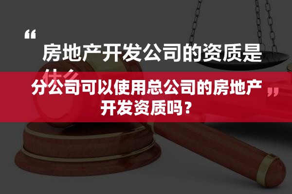 分公司可以使用总公司的房地产开发资质吗? 分公司可以使用总公司的房地产开发资质吗?