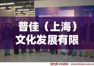 普佳（上海）文化发展有限公司怎么样？