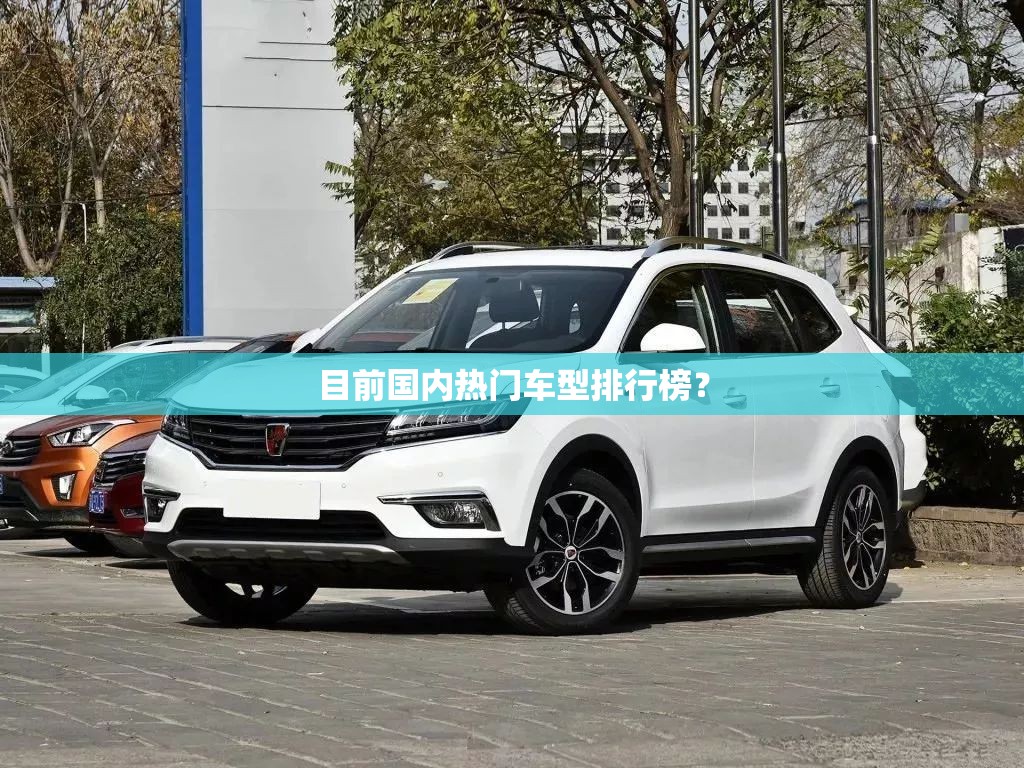 目前国内热门车型排行榜？