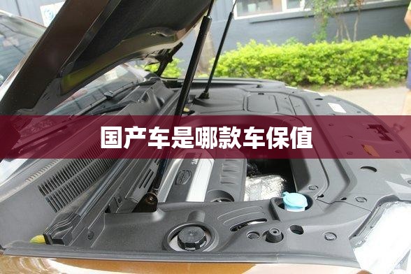国产车是哪款车保值 国产车是哪款车保值