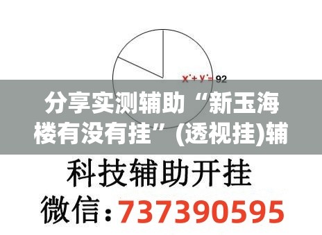 分享实测辅助“新玉海楼有没有挂”(透视挂)辅助下载教程
