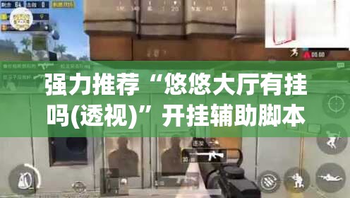 强力推荐“悠悠大厅有挂吗(透视)”开挂辅助脚本+详细开挂安装教程