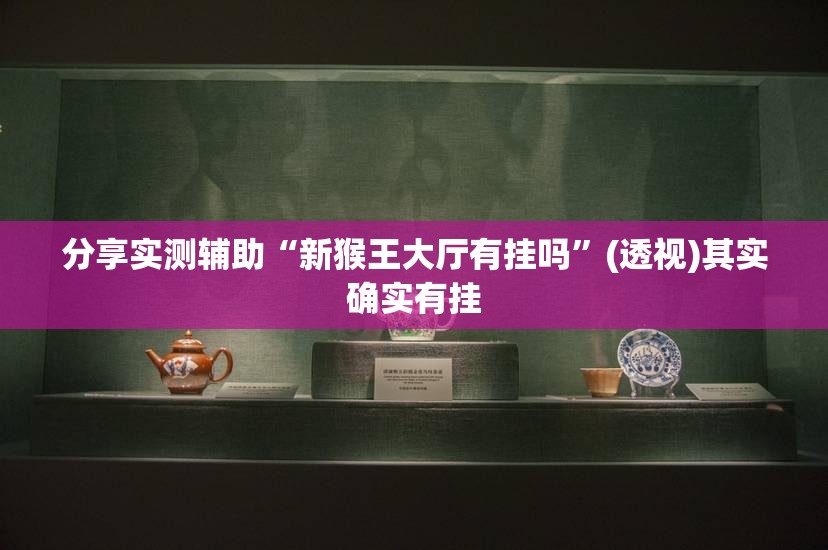 分享实测辅助“新猴王大厅有挂吗”(透视)其实确实有挂