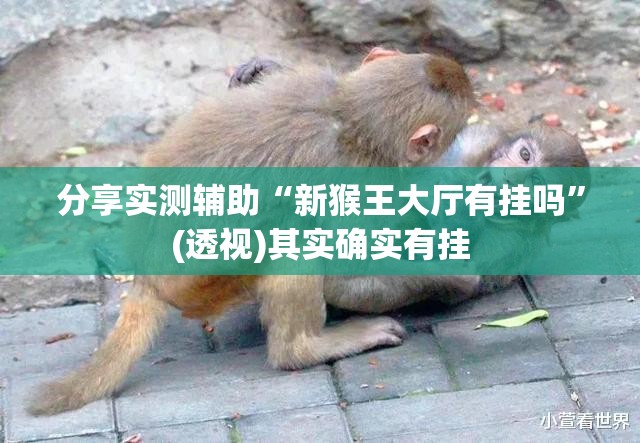 分享实测辅助“新猴王大厅有挂吗”(透视)其实确实有挂