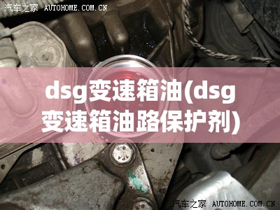 dsg变速箱油(dsg变速箱油路保护剂)