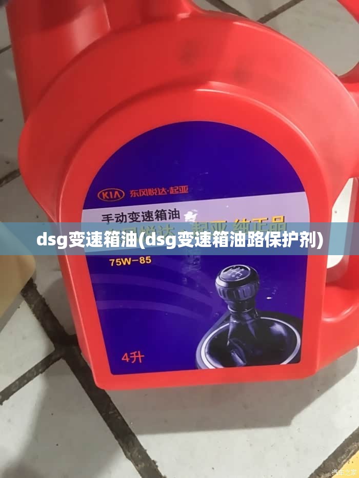 dsg变速箱油(dsg变速箱油路保护剂)