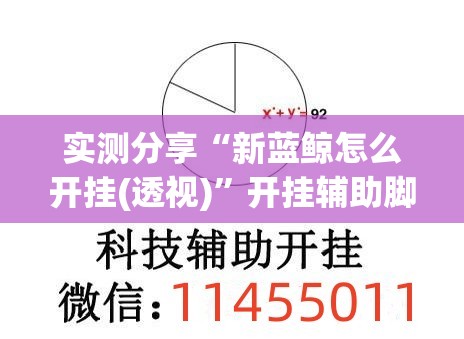 实测分享“新蓝鲸怎么开挂(透视)”开挂辅助脚本+详细开挂安装教程