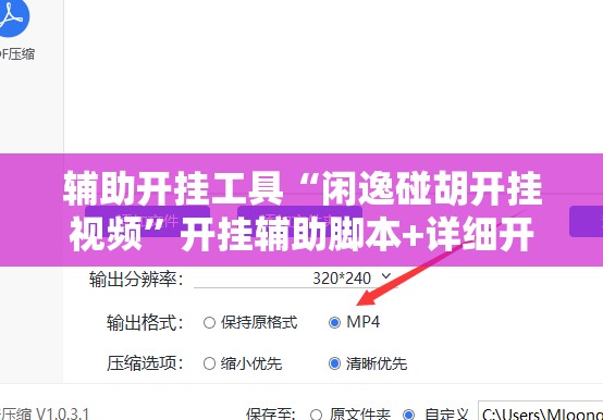 辅助开挂工具“闲逸碰胡开挂视频”开挂辅助脚本+详细开挂安装教程