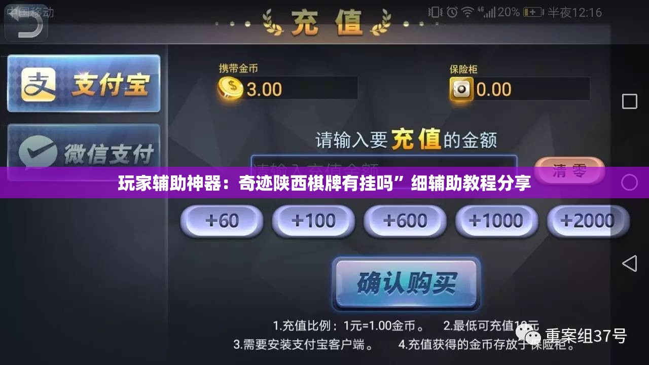 玩家辅助神器：奇迹陕西棋牌有挂吗	”细辅助教程分享