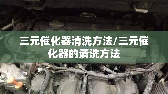 三元催化器清洗方法/三元催化器的清洗方法