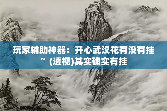 玩家辅助神器：开心武汉花有没有挂”(透视)其实确实有挂