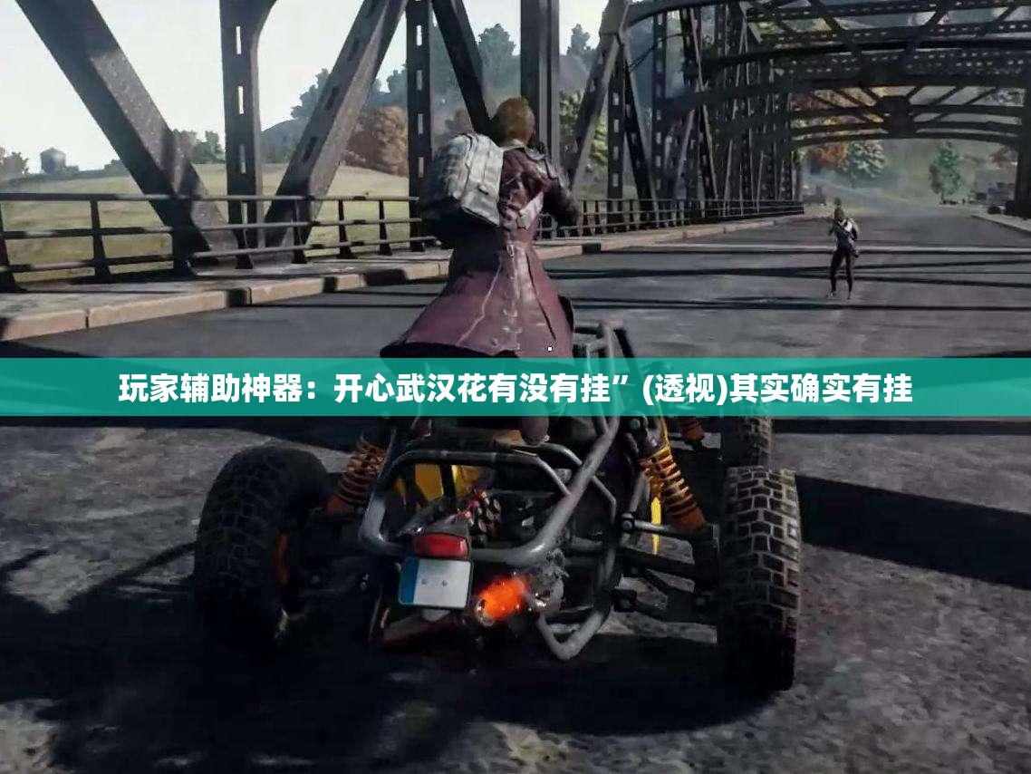 玩家辅助神器：开心武汉花有没有挂”(透视)其实确实有挂