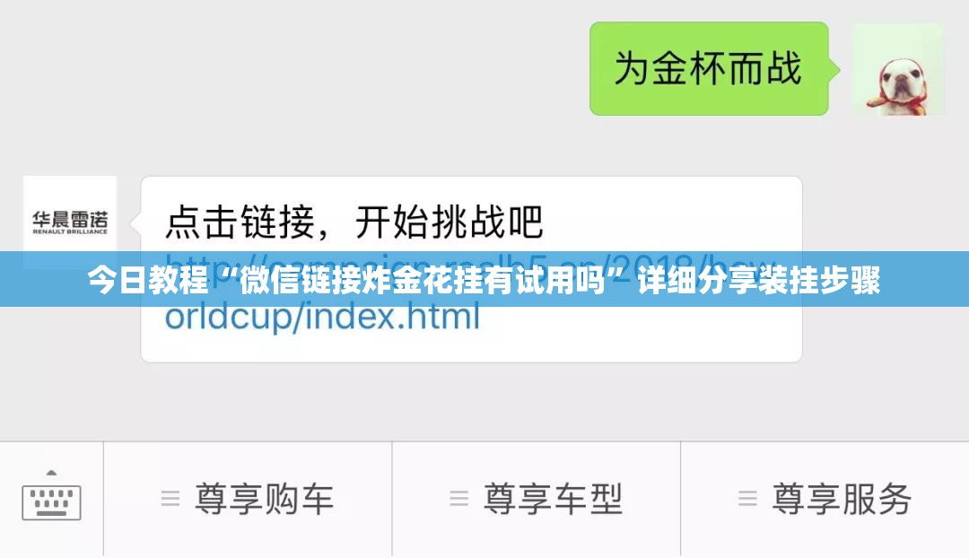 今日教程“微信链接炸金花挂有试用吗”详细分享装挂步骤