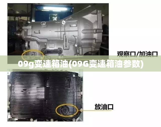 09g变速箱油(09G变速箱油参数) 09g变速箱油(09G变速箱油参数)