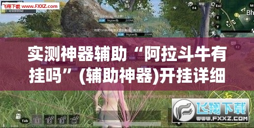 实测神器辅助“阿拉斗牛有挂吗”(辅助神器)开挂详细教程