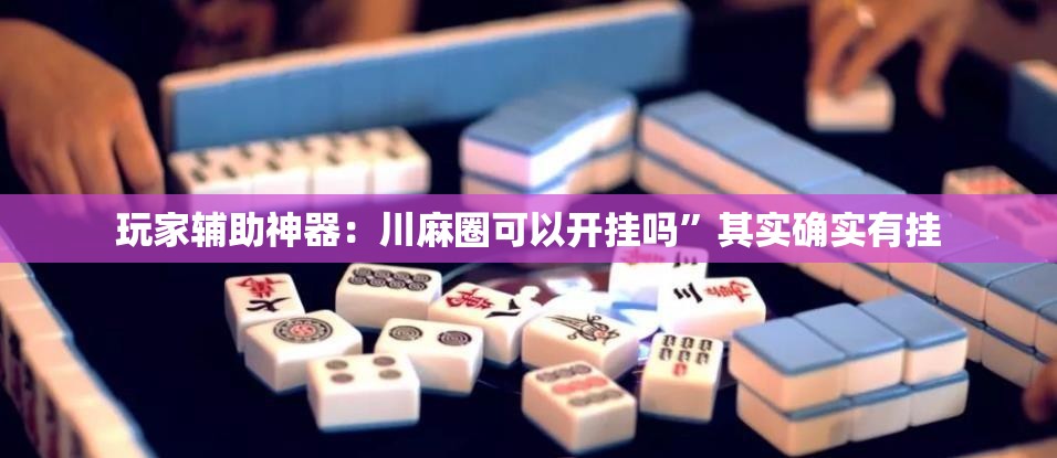 玩家辅助神器：川麻圈可以开挂吗”其实确实有挂