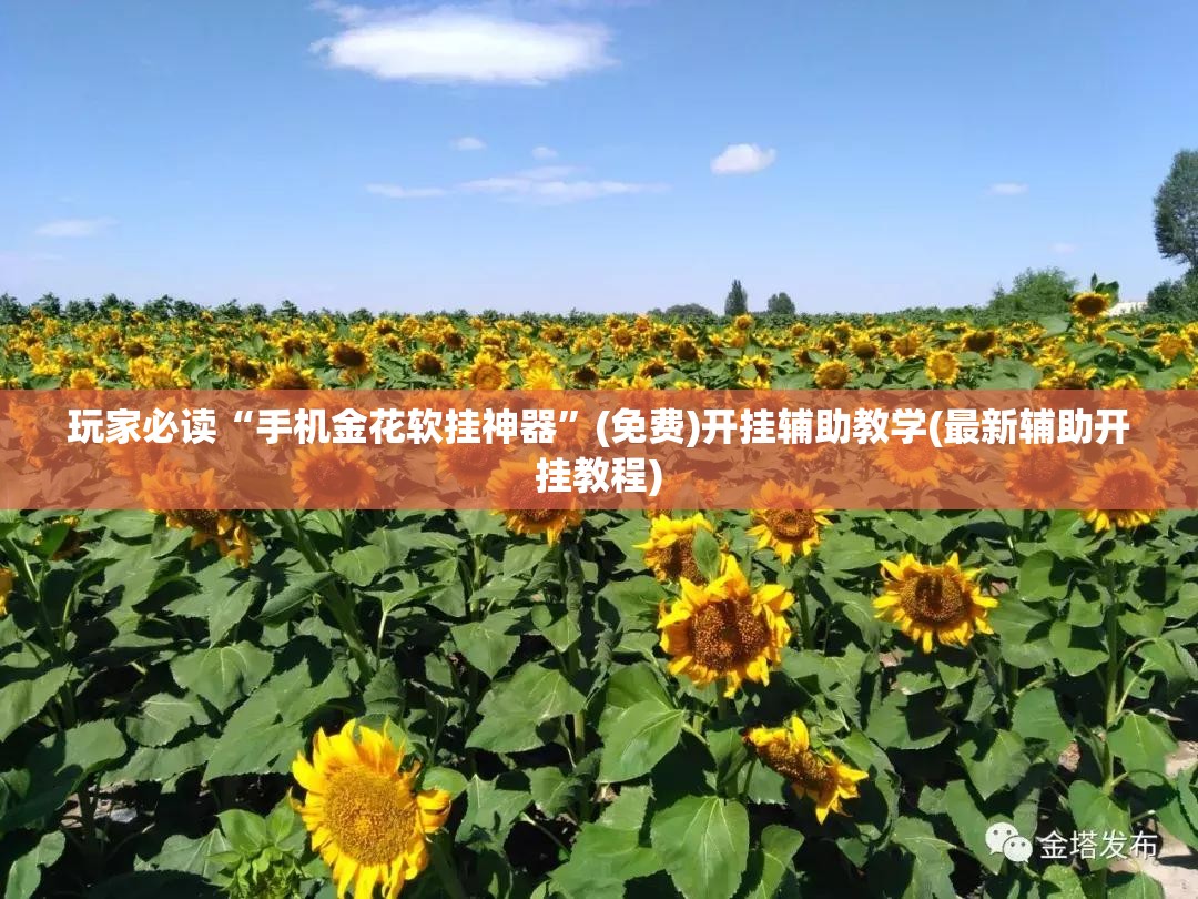 玩家必读“手机金花软挂神器”(免费)开挂辅助教学(最新辅助开挂教程)