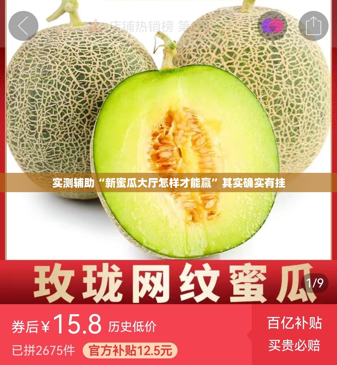 实测辅助“新蜜瓜大厅怎样才能赢”其实确实有挂
