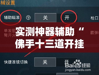 实测神器辅助“佛手十三道开挂辅助软件”开挂详细教程