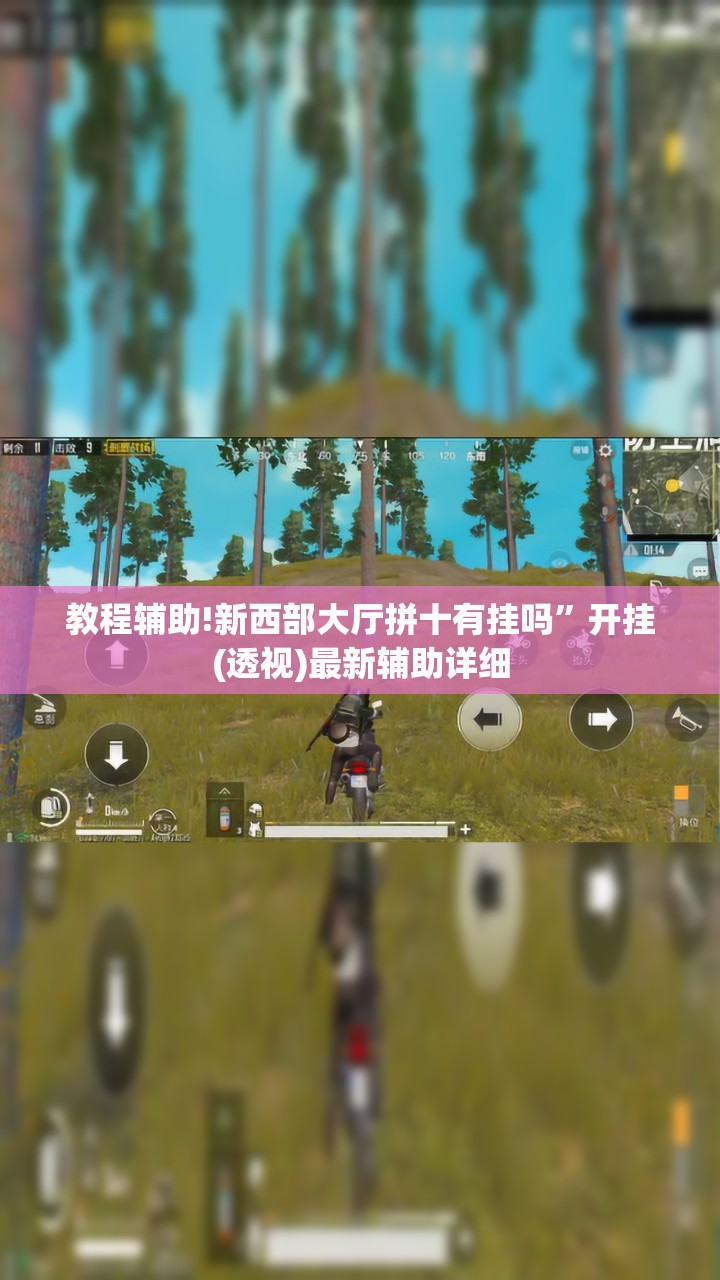 教程辅助!新西部大厅拼十有挂吗”开挂(透视)最新辅助详细