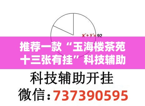 推荐一款“玉海楼茶苑十三张有挂”科技辅助神器手机版