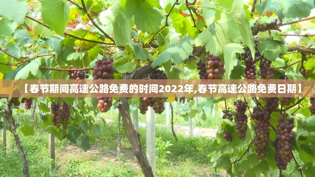 【春节期间高速公路免费的时间2022年,春节高速公路免费日期】 【春节期间高速公路免费的时间2022年,春节高速公路免费日期】