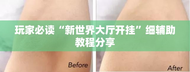 玩家必读“新世界大厅开挂”细辅助教程分享