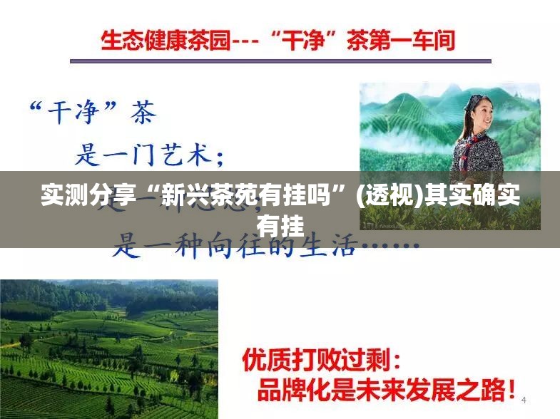 实测分享“新兴茶苑有挂吗	”(透视)其实确实有挂