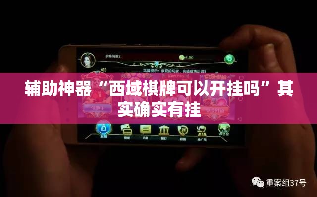 辅助神器“西域棋牌可以开挂吗”其实确实有挂