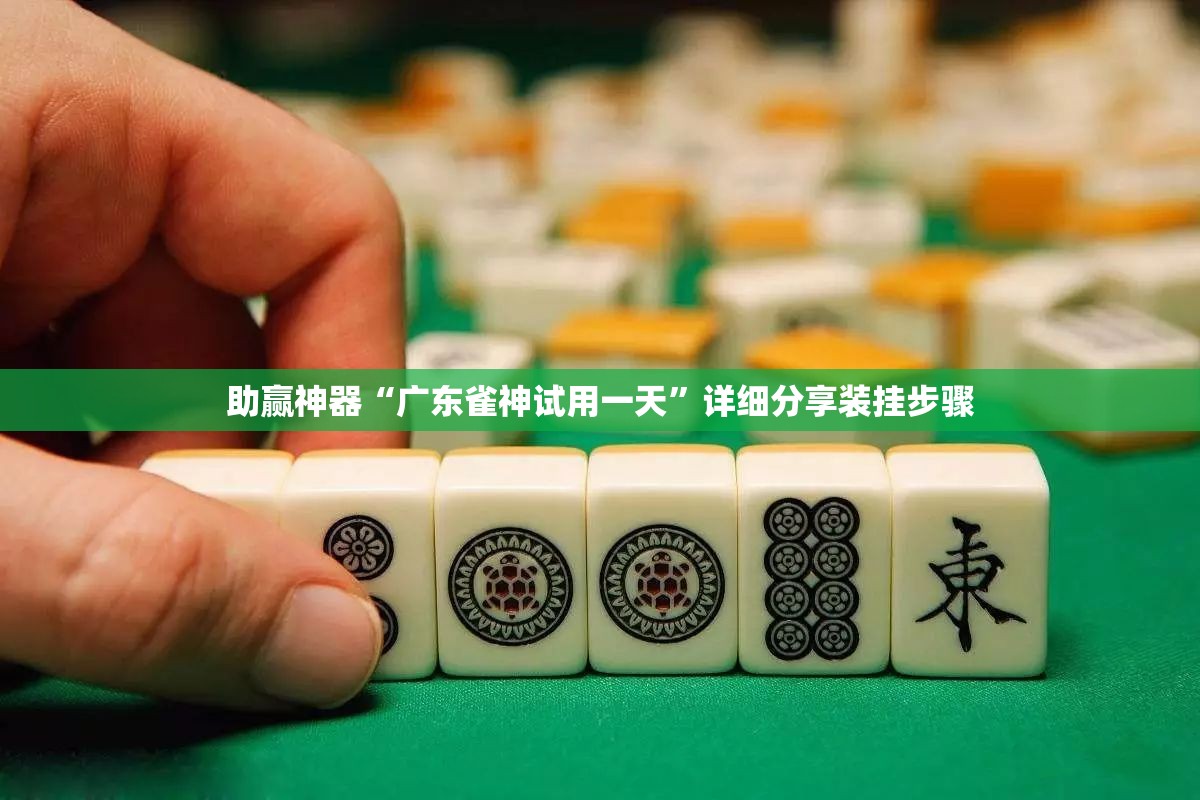 助赢神器“广东雀神试用一天”详细分享装挂步骤