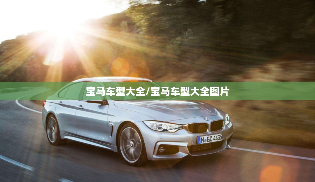 宝马车型大全/宝马车型大全图片 宝马车型大全/宝马车型大全图片