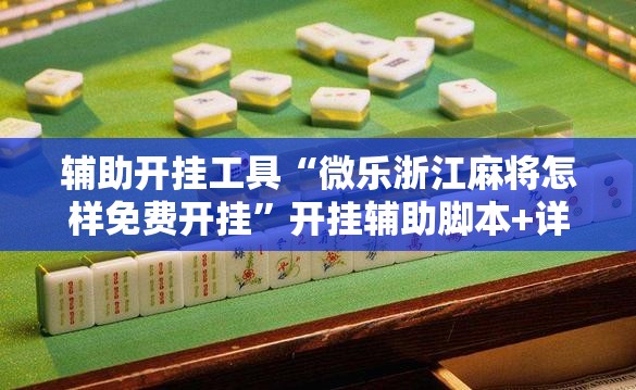 辅助开挂工具“微乐浙江麻将怎样免费开挂”开挂辅助脚本+详细开挂安装教程