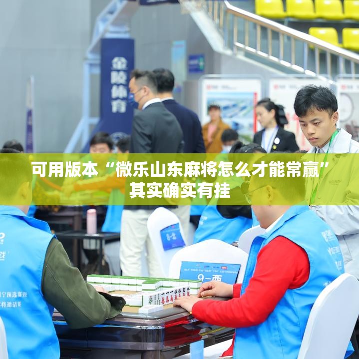 可用版本“微乐山东麻将怎么才能常赢”其实确实有挂