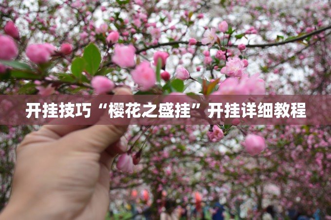 开挂技巧“樱花之盛挂”开挂详细教程