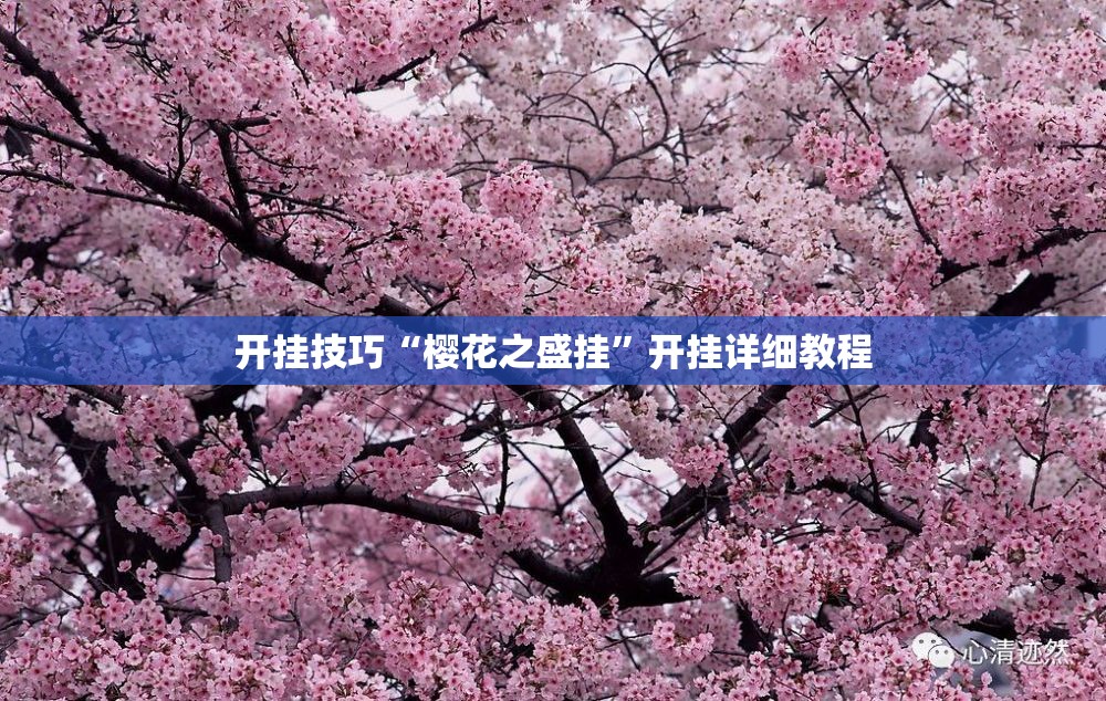 开挂技巧“樱花之盛挂”开挂详细教程