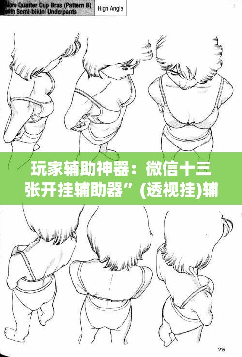 玩家辅助神器：微信十三张开挂辅助器”(透视挂)辅助下载教程