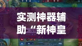 实测神器辅助“新神皇有挂吗”开挂(透视)辅助教程