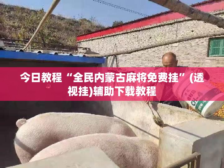 今日教程“全民内蒙古麻将免费挂”(透视挂)辅助下载教程