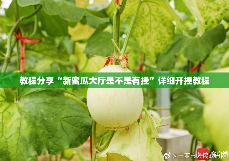 教程分享“新蜜瓜大厅是不是有挂”详细开挂教程