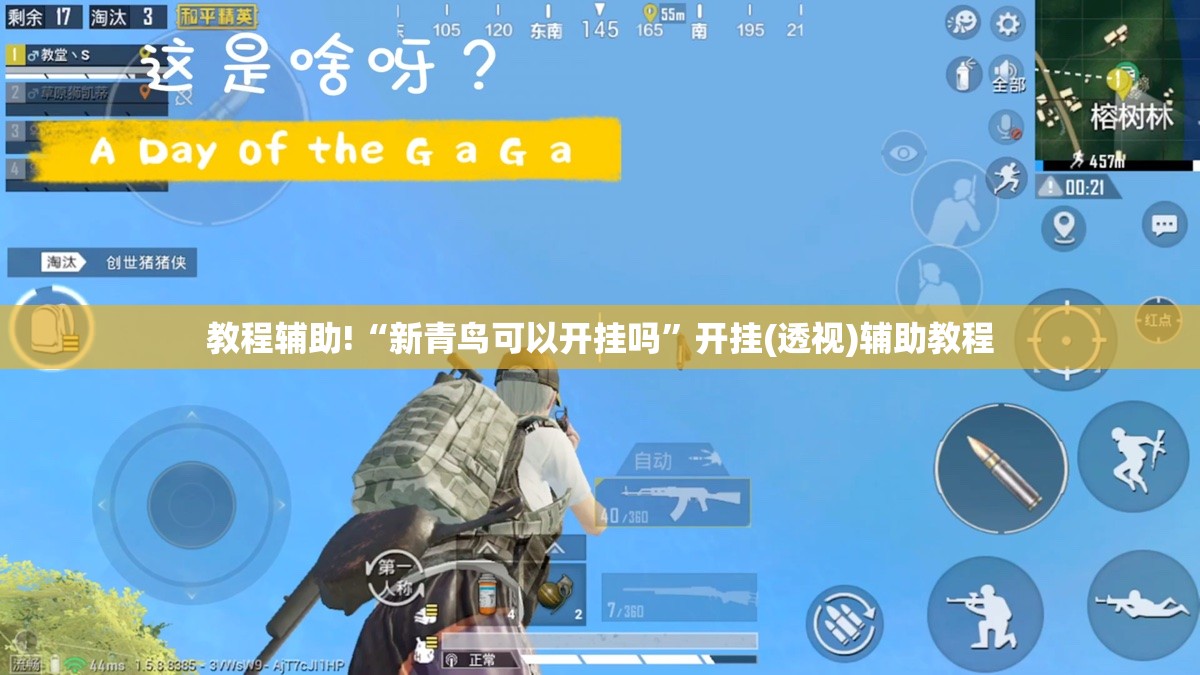 教程辅助!“新青鸟可以开挂吗”开挂(透视)辅助教程