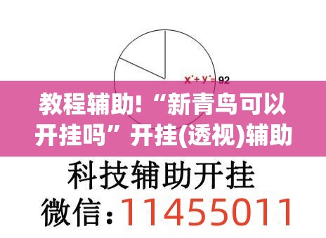 教程辅助!“新青鸟可以开挂吗	”开挂(透视)辅助教程