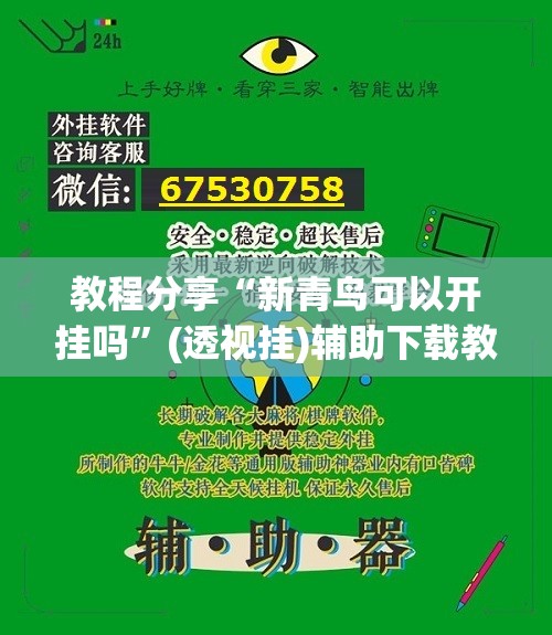教程分享“新青鸟可以开挂吗”(透视挂)辅助下载教程