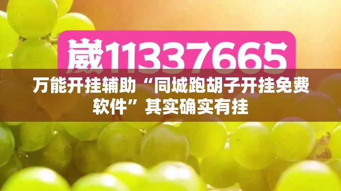 万能开挂辅助“同城跑胡子开挂免费软件”其实确实有挂