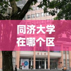 同济大学在哪个区(同济大学三个校区区别) 同济大学在哪个区(同济大学三个校区区别)