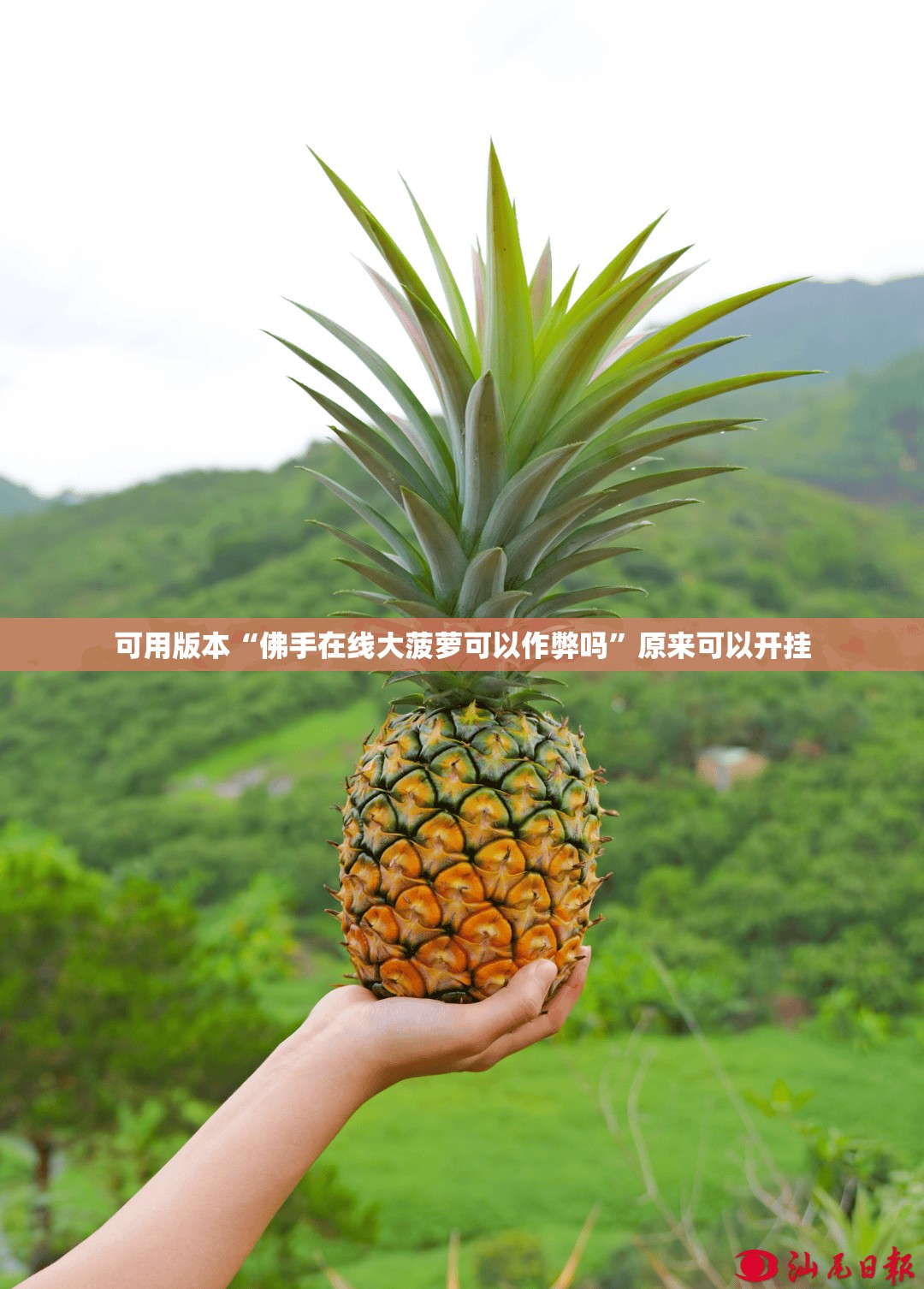 可用版本“佛手在线大菠萝可以作弊吗”原来可以开挂