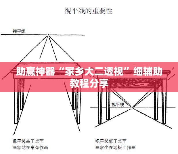 助赢神器“家乡大二透视”细辅助教程分享