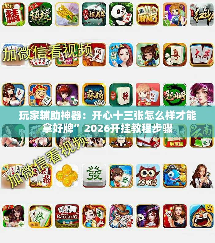 玩家辅助神器：开心十三张怎么样才能拿好牌	”2026开挂教程步骤